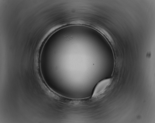 X0000102531000200808081447