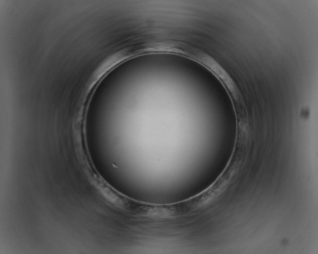 X0000102531002200808081447