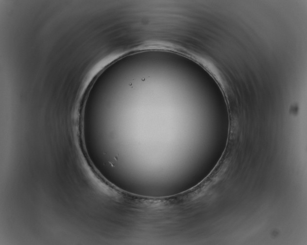 X0000102531003200808081447
