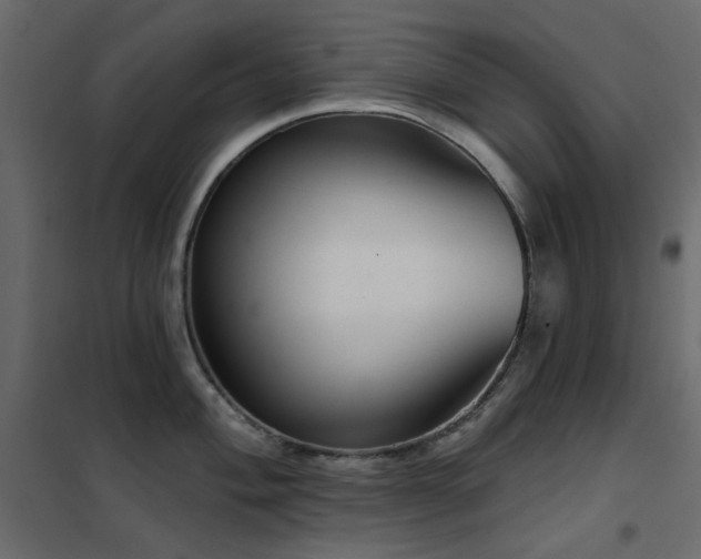 X0000102531004200808081447