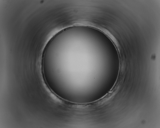 X0000102531005200808081447
