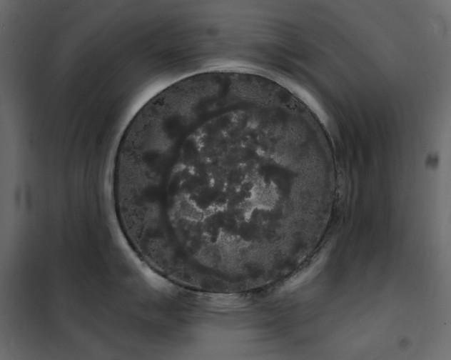 X0000102531007200808081447