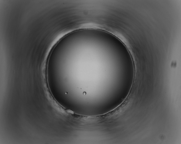 X0000102531008200808081447