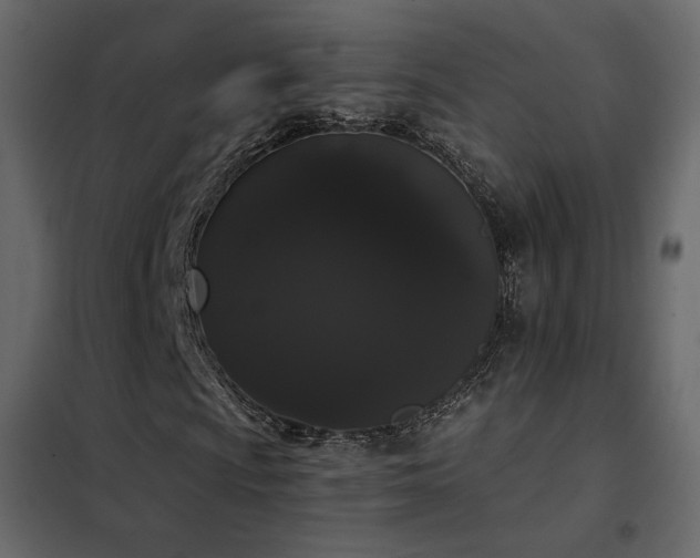 X0000102531009200808081446