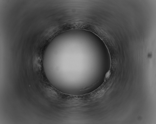 X0000102531010200808081446