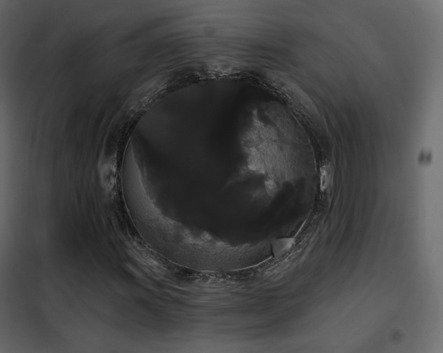 X0000102531011200808081446