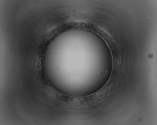 X0000102531013200808081446