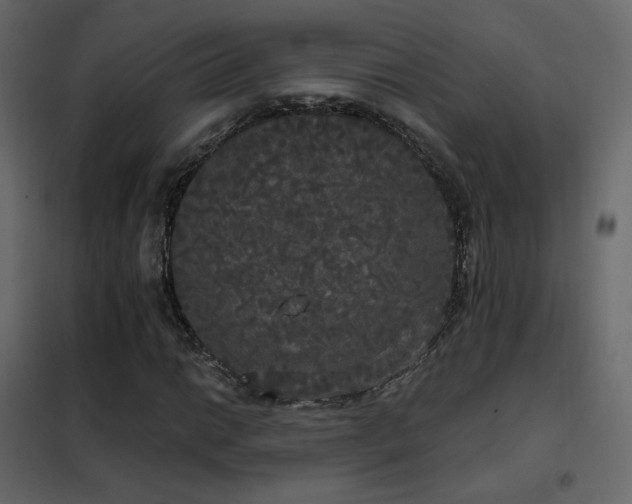 X0000102531014200808081446