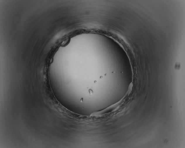 X0000102531016200808081446