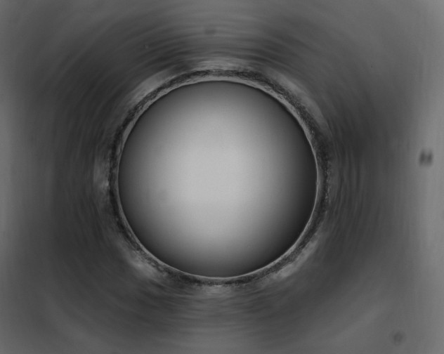 X0000102531017200808081446
