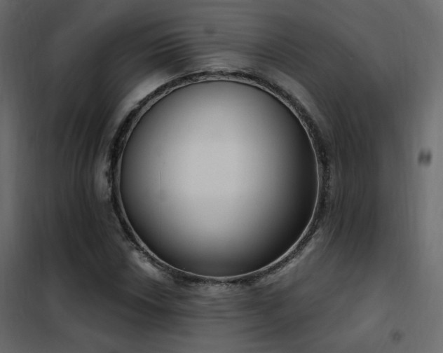 X0000102531018200808081446