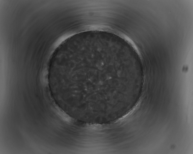 X0000102531019200808081446