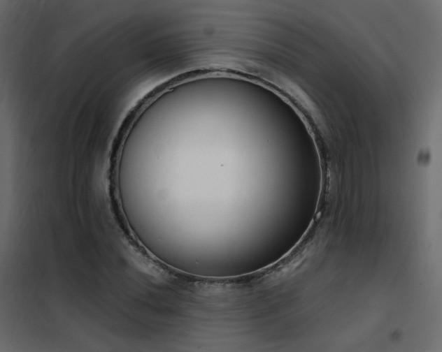 X0000102531020200808081446