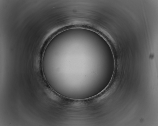 X0000102531021200808081446