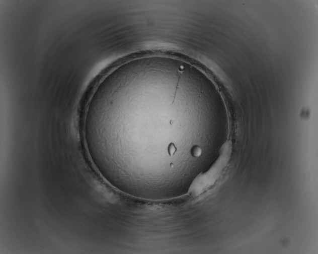 X0000102531022200808081446