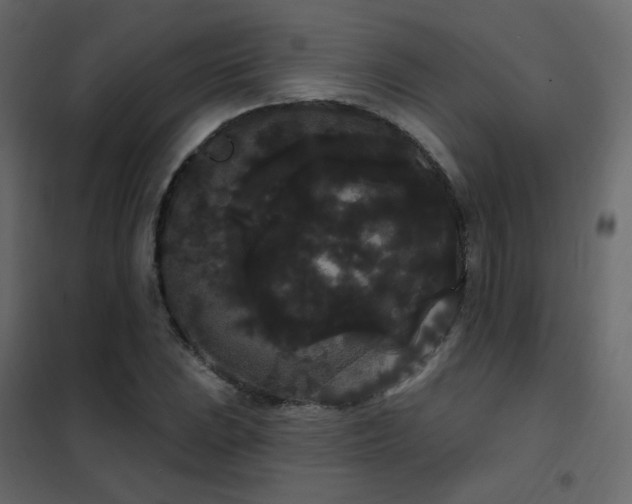 X0000102531023200808081446