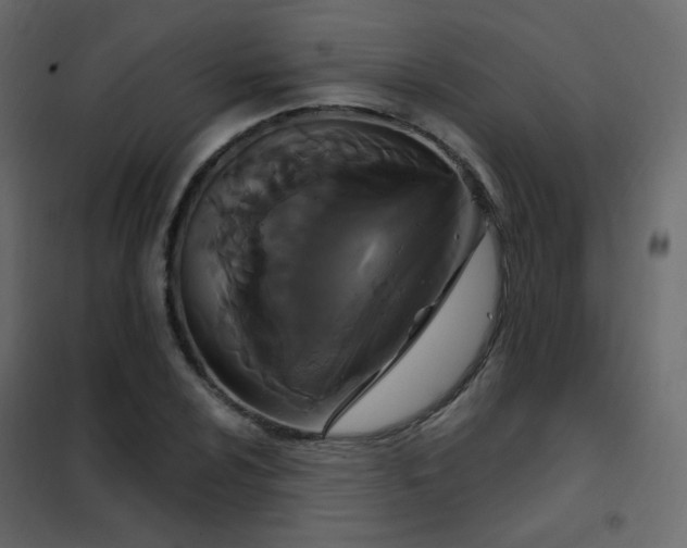 X0000102531024200808081446