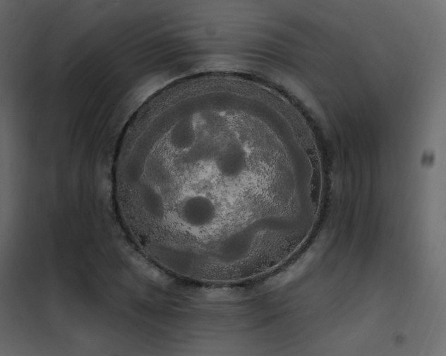 X0000102531025200808081446
