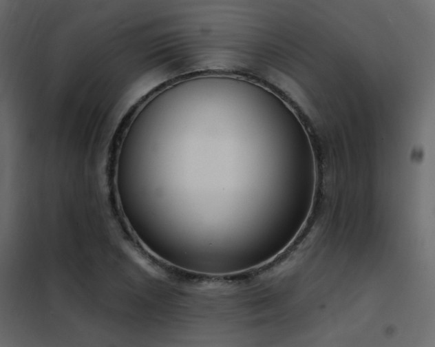 X0000102531026200808081446