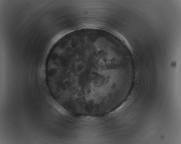 X0000102531027200808081446