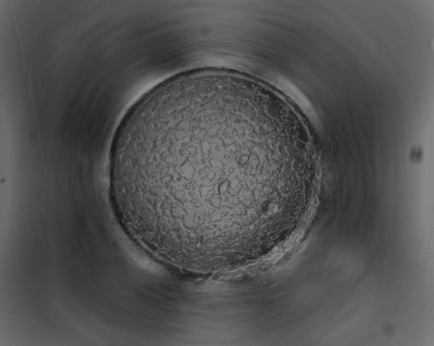 X0000102531028200808081447