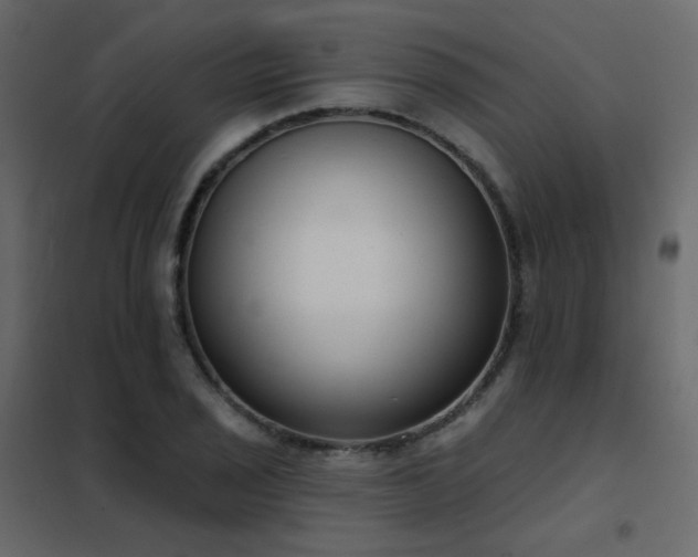 X0000102531029200808081447