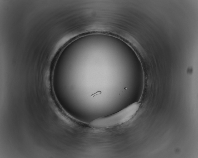 X0000102531030200808081447
