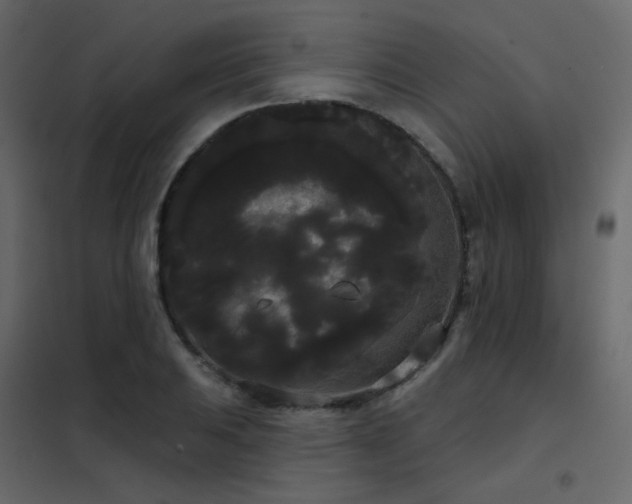 X0000102531031200808081447