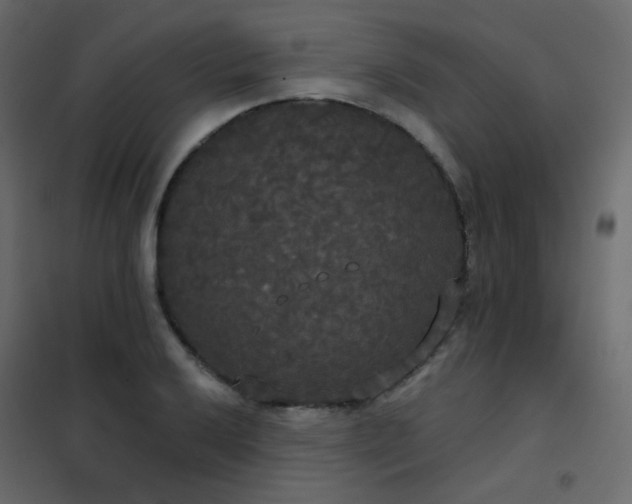 X0000102531032200808081447