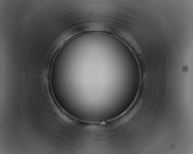 X0000102531033200808081447