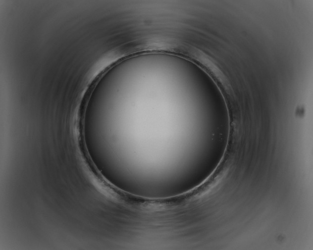 X0000102531034200808081447