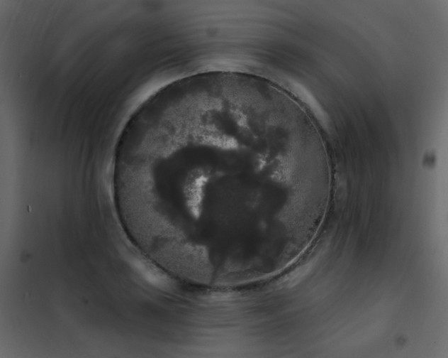 X0000102531035200808081447
