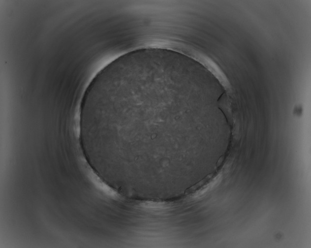 X0000102531036200808081447