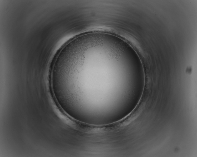 X0000102531038200808081447