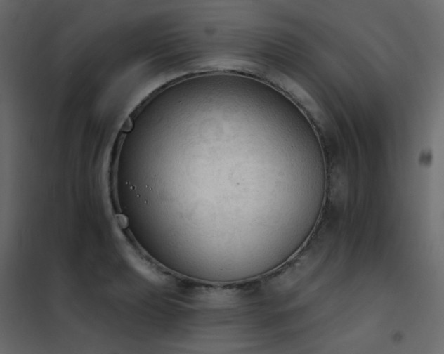 X0000102531039200808081447
