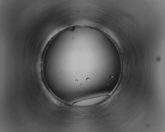 X0000102531040200808081447