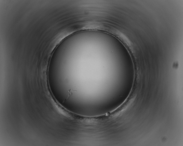 X0000102531041200808081447