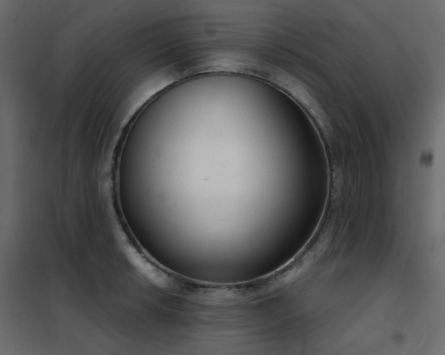 X0000102531042200808081447