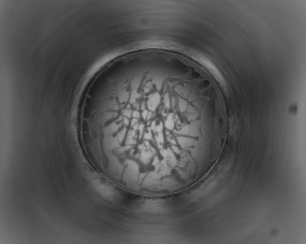 X0000102531043200808081447