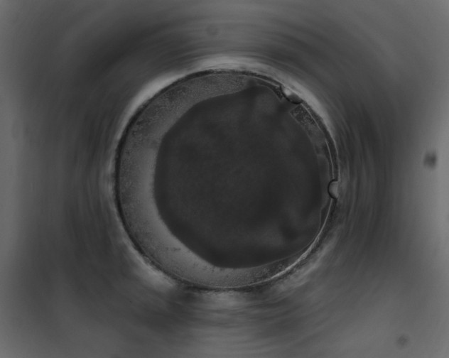 X0000102531045200808081447