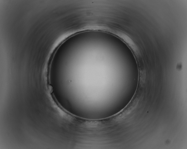 X0000102531046200808081447