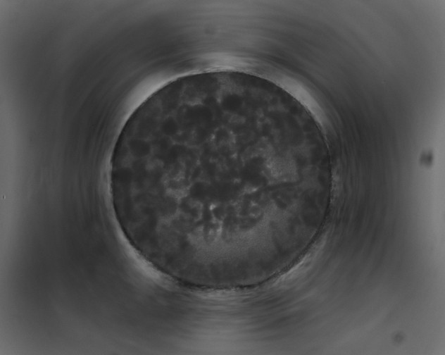 X0000102531047200808081447