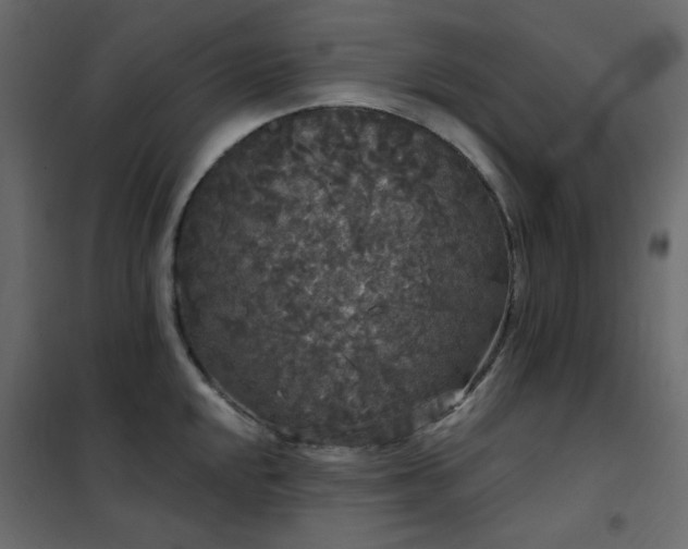 X0000102531048200808081447