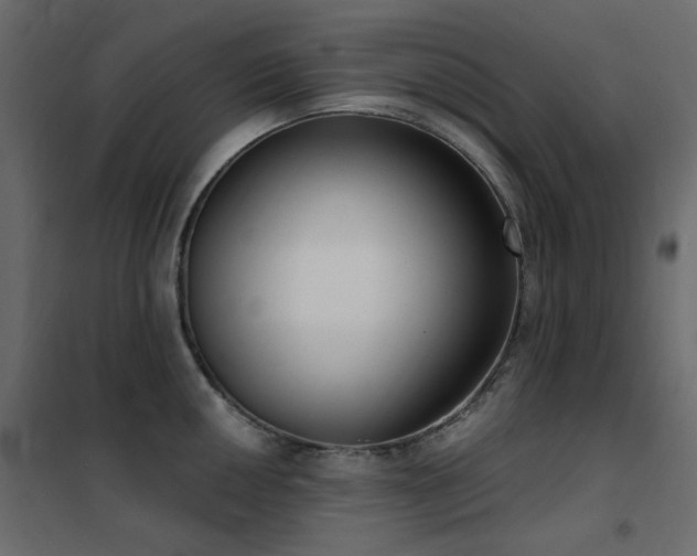 X0000102531050200808081447