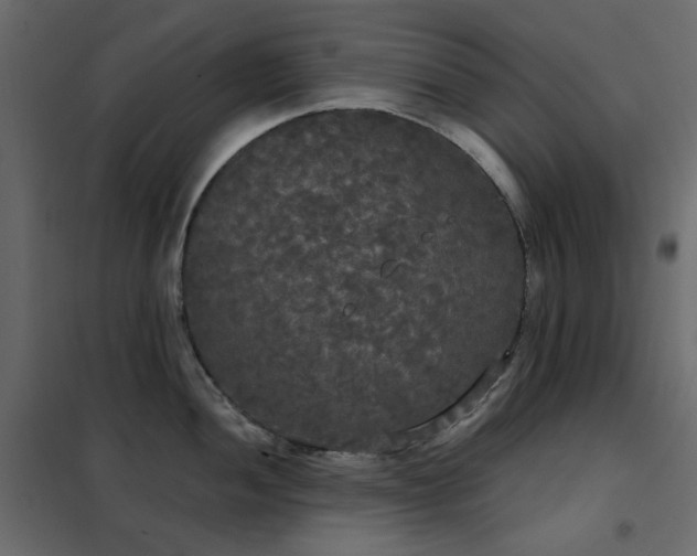 X0000102531052200808081447