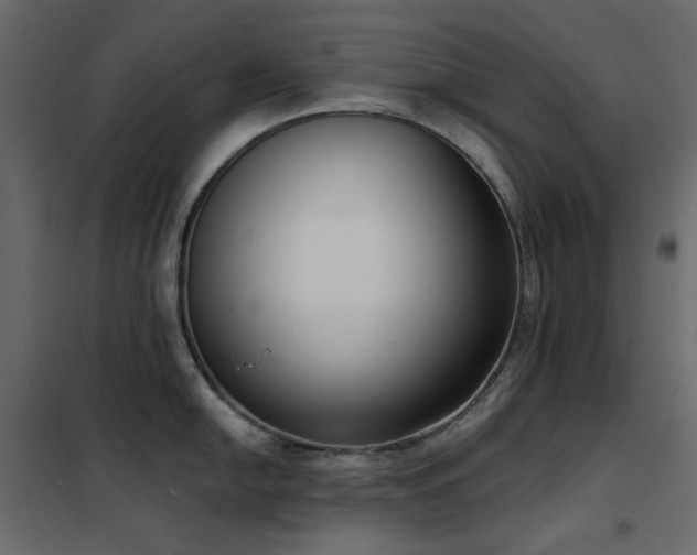 X0000102531054200808081447