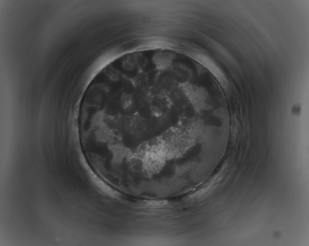 X0000102531055200808081447