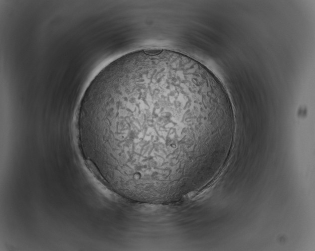 X0000102531056200808081447