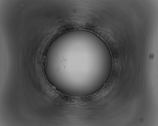 X0000102531057200808081446