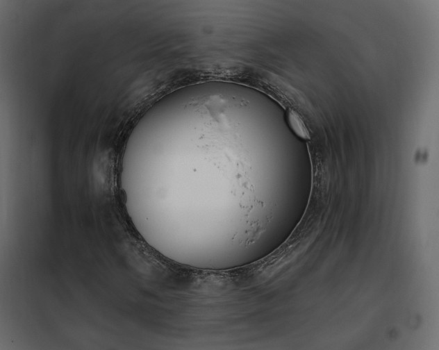 X0000102531058200808081446
